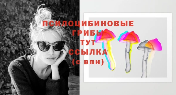 стафф Коряжма