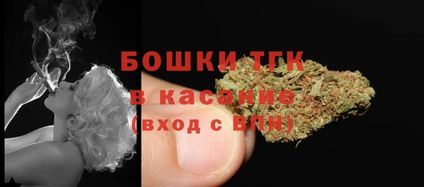 стафф Коряжма