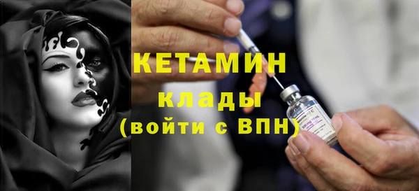 стафф Коряжма