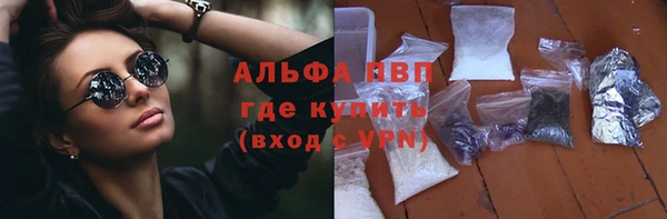 стафф Коряжма