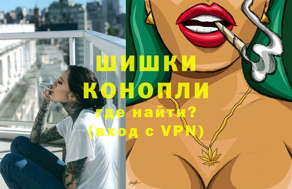 стафф Коряжма
