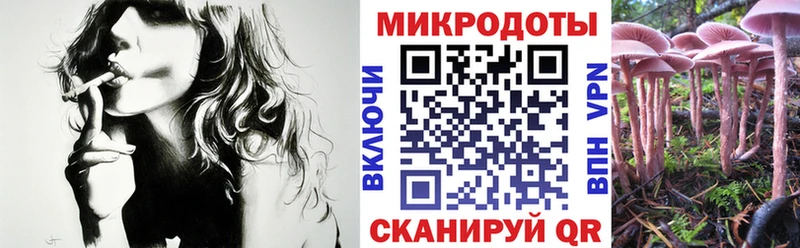 Купить закладки  Петровск-Забайкальский  Псилоцибиновые грибы Psilocybine cubensis 